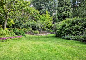 Optimiser l'expérience du jardin à Viviers-les-Lavaur